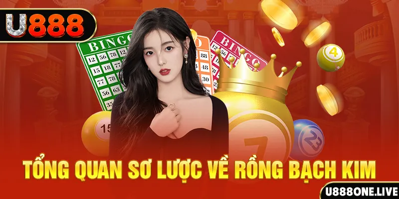 fe8bet máy bay cá cược
