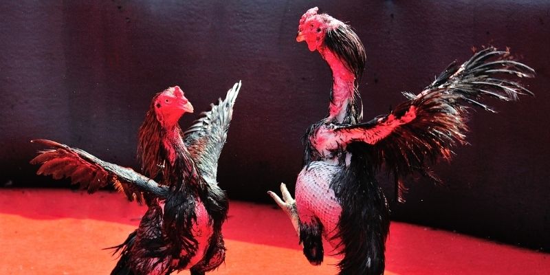 fe8bet Spribe Điện Tử